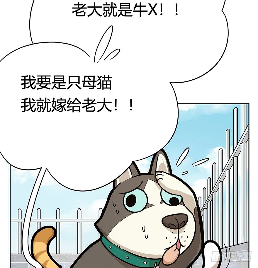 第50爪 送礼（上）-第56话