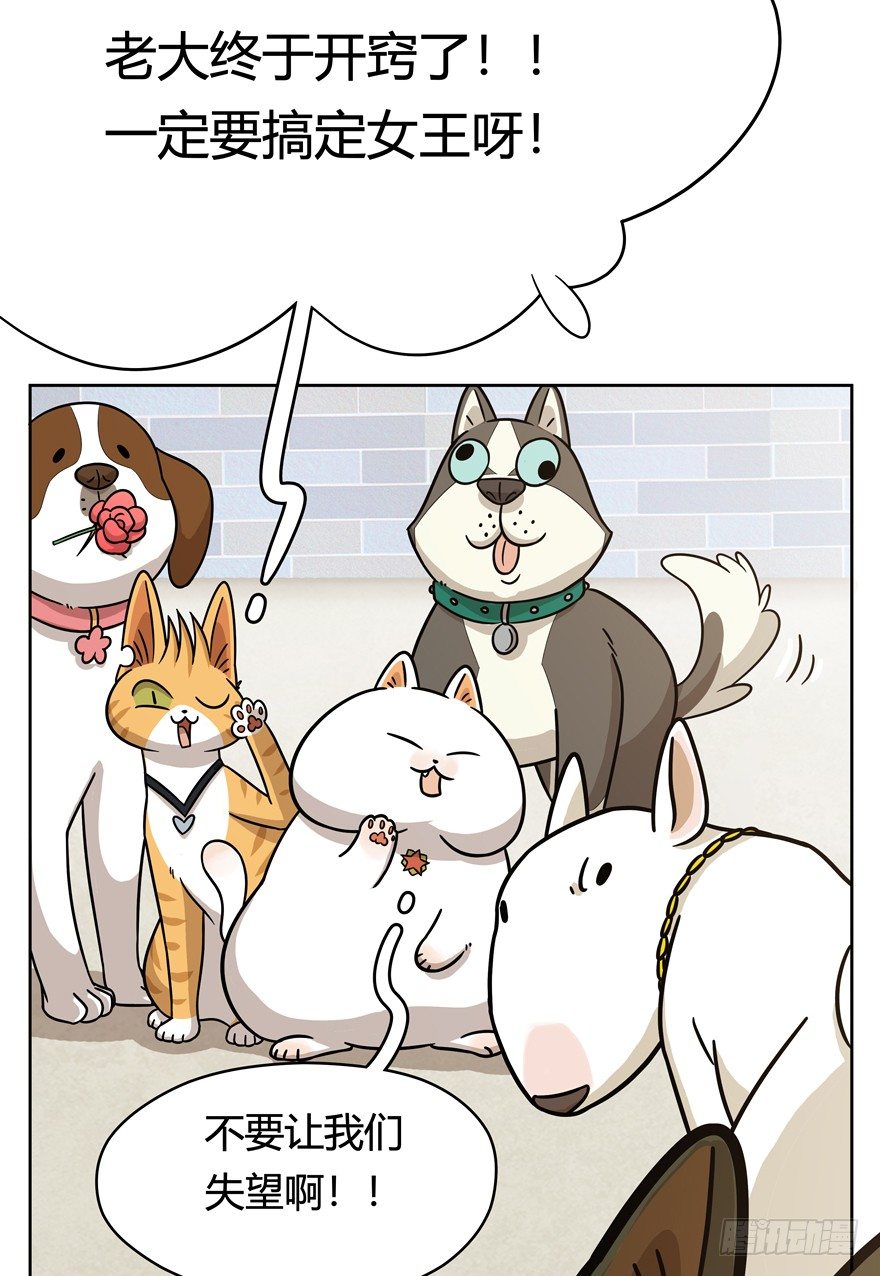 第52爪 胜利的曙光-第58话