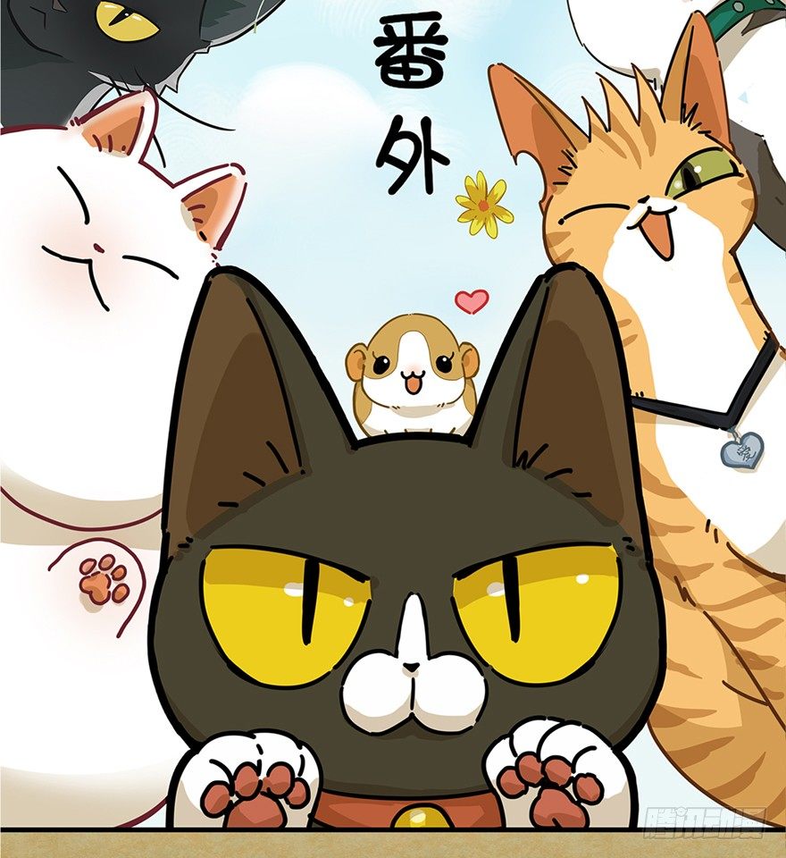 第58爪 到底是谁（上）-第64话