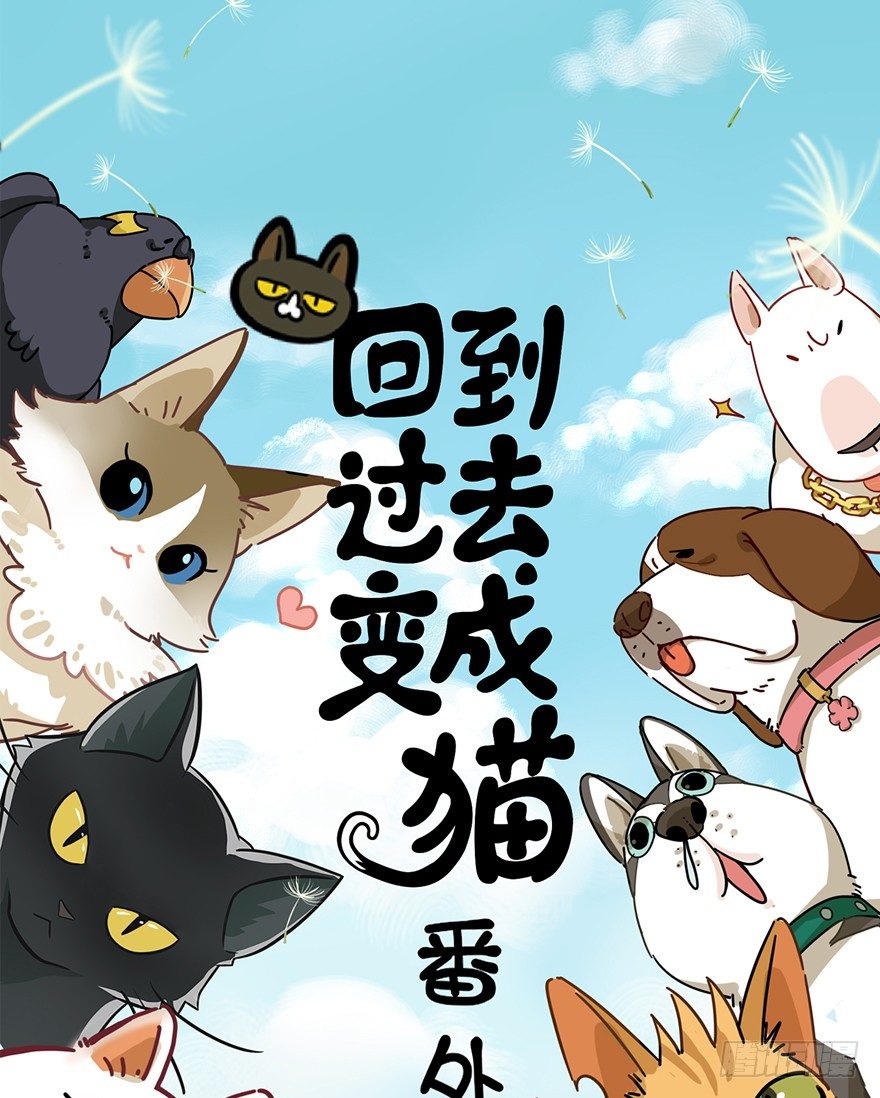 回到过去变成猫外传 - 第60爪 行动开始(1/2) - 1