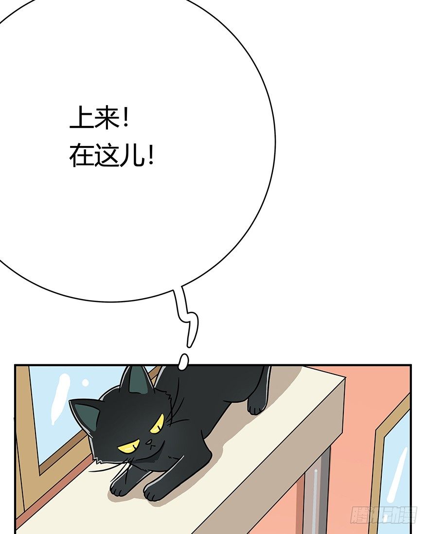 第60爪 行动开始(1/2)-第66话