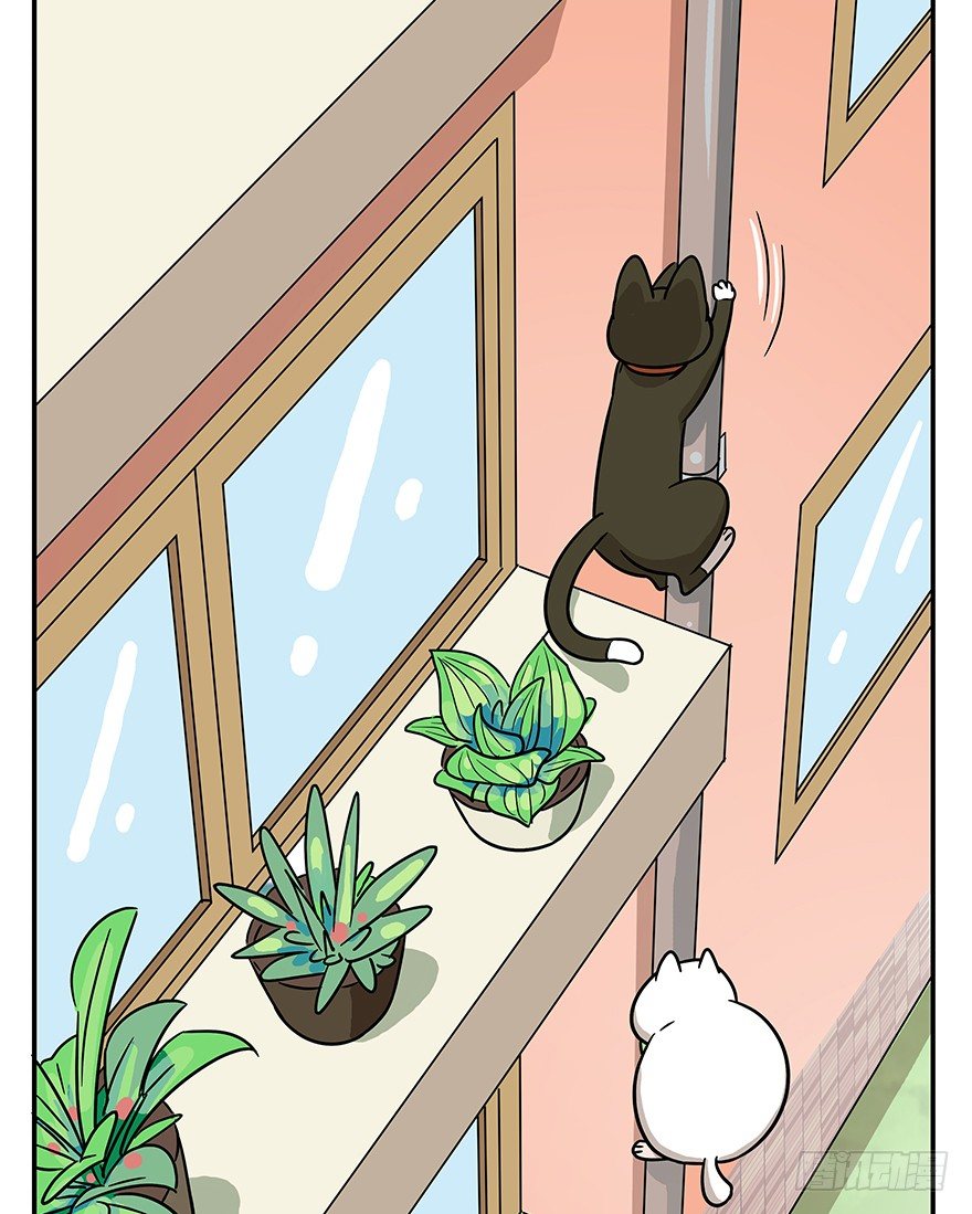 第60爪 行动开始(1/2)-第66话