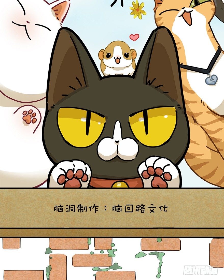 第60爪 行动开始(1/2)-第66话