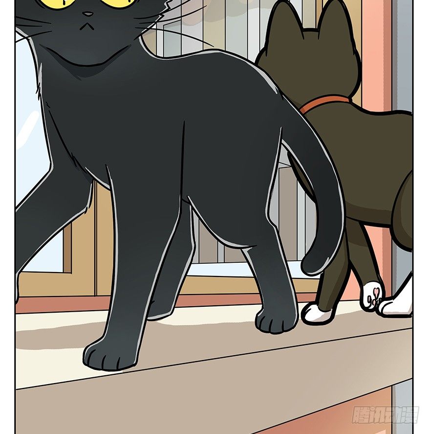 第60爪 行动开始(1/2)-第66话