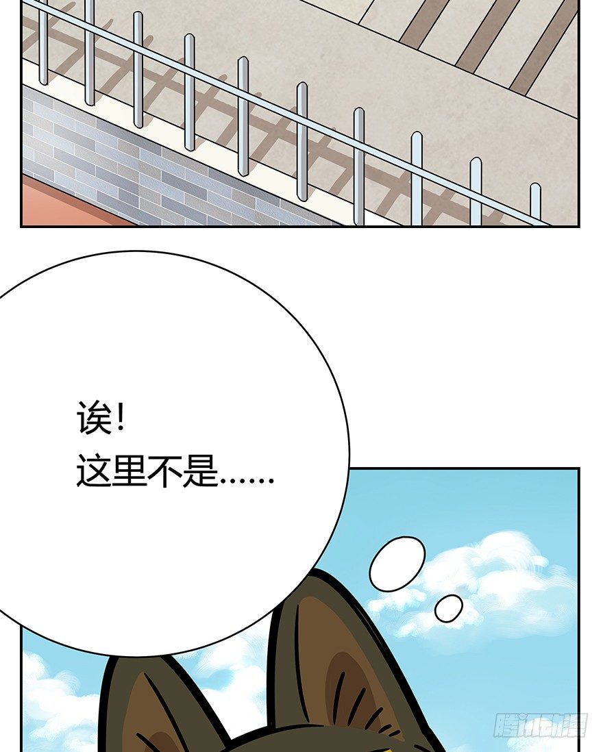 第60爪 行动开始(1/2)-第66话