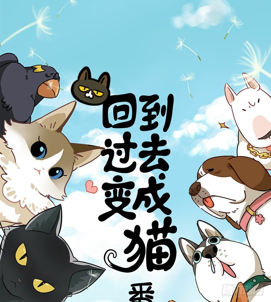 回到过去变成猫外传 - 第62爪 “虐猫”照骗（下） - 1