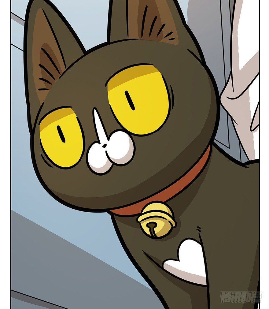 第66爪 我错了吗？-第72话