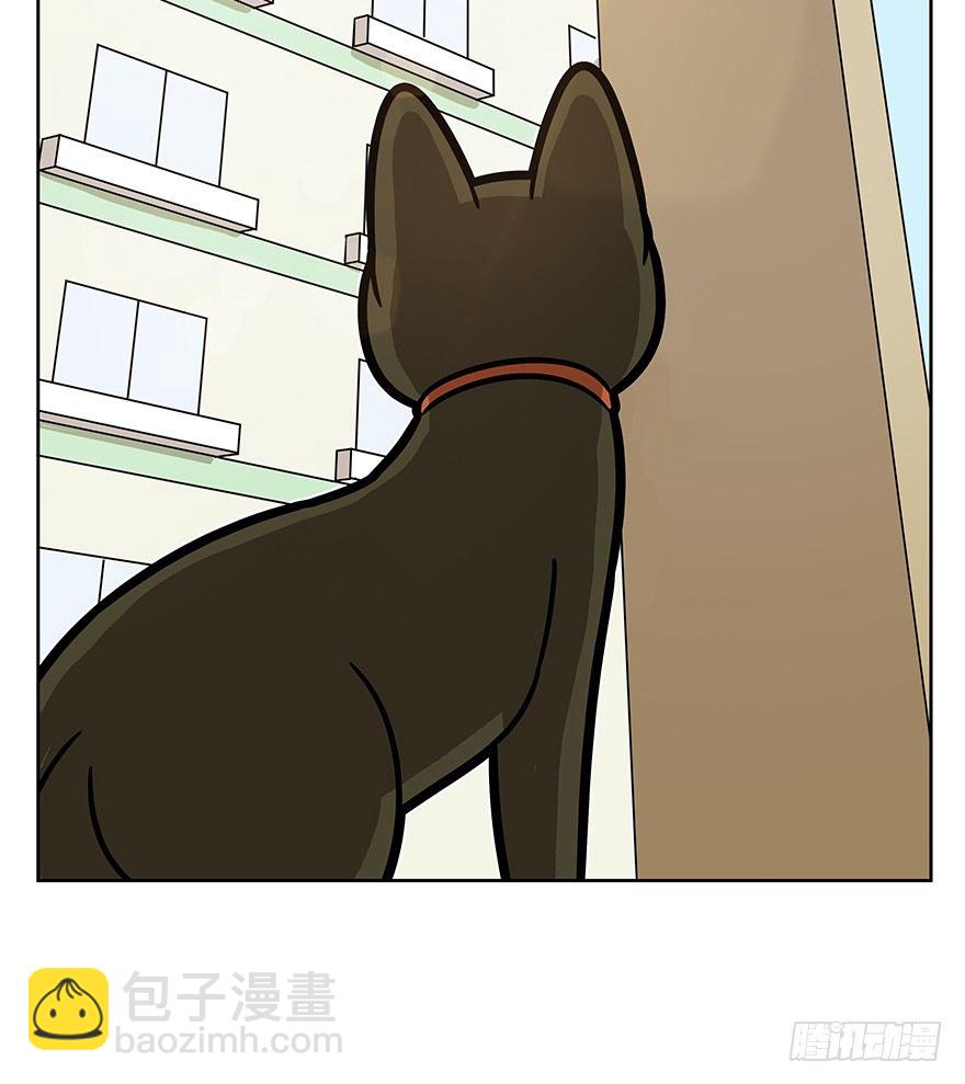 回到过去变成猫外传 - 第66爪 我错了吗？ - 5