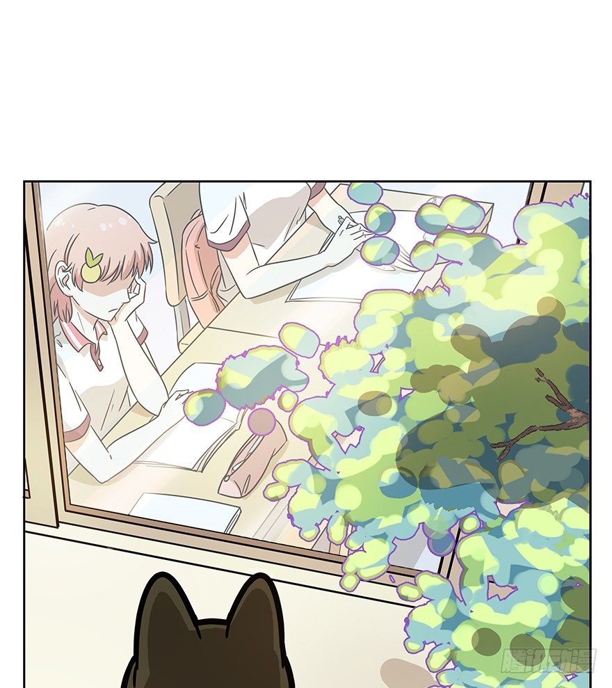 第66爪 我错了吗？-第72话