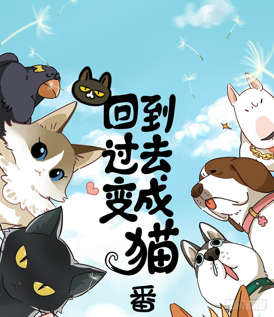 回到过去变成猫外传 - 第74爪 身份之谜(1/2) - 1