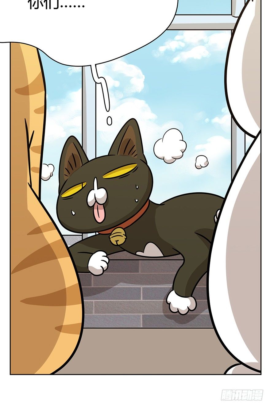 第80爪 &ldquo;拖油瓶&rdquo;黑呦呦（上）-第86话