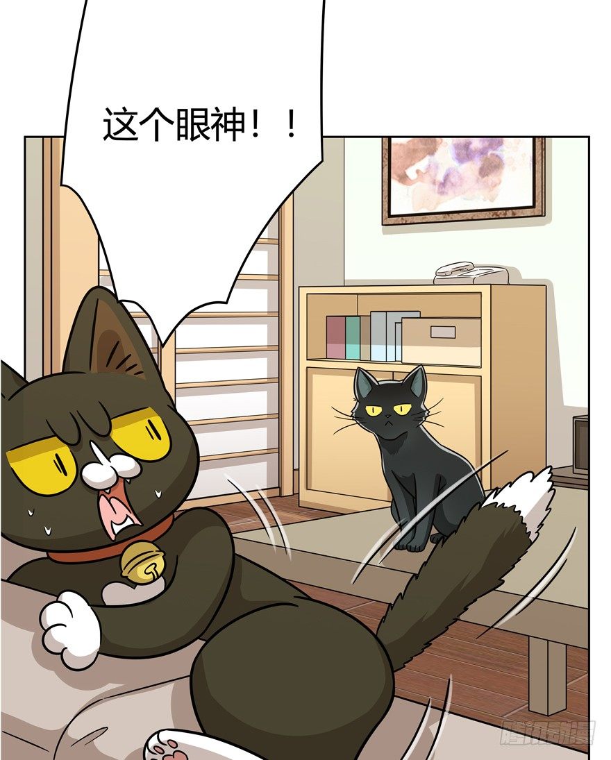 第80爪 &ldquo;拖油瓶&rdquo;黑呦呦（上）-第86话