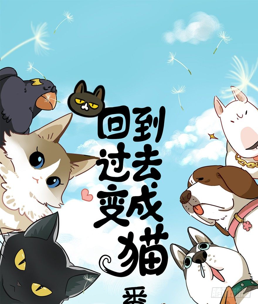 第84爪 黑呦呦出马（上）-第90话