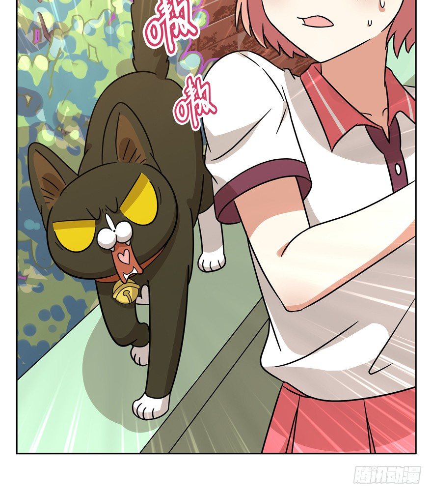 第84爪 黑呦呦出马（上）-第90话