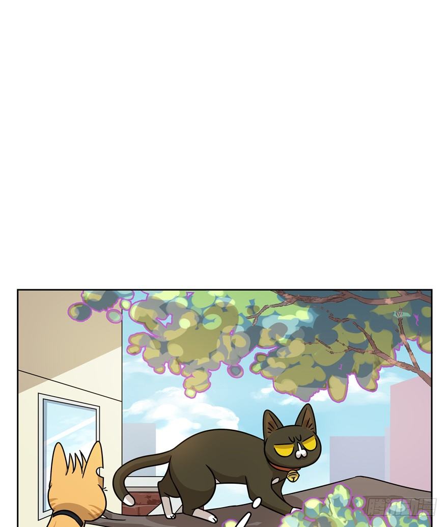 第84爪 黑呦呦出马（上）-第90话