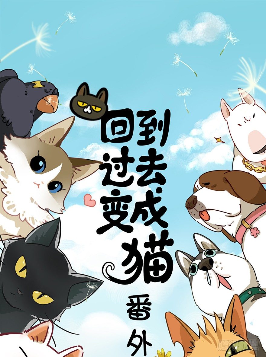 第90爪 翻脸不认猫（上）-第96话