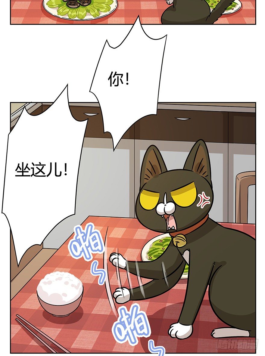 第90爪 翻脸不认猫（上）-第96话