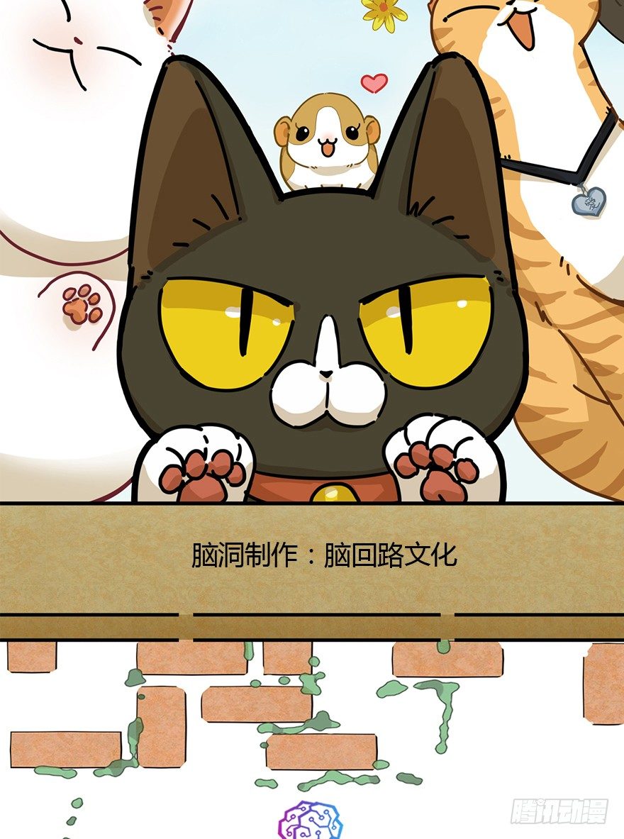 第90爪 翻脸不认猫（上）-第96话