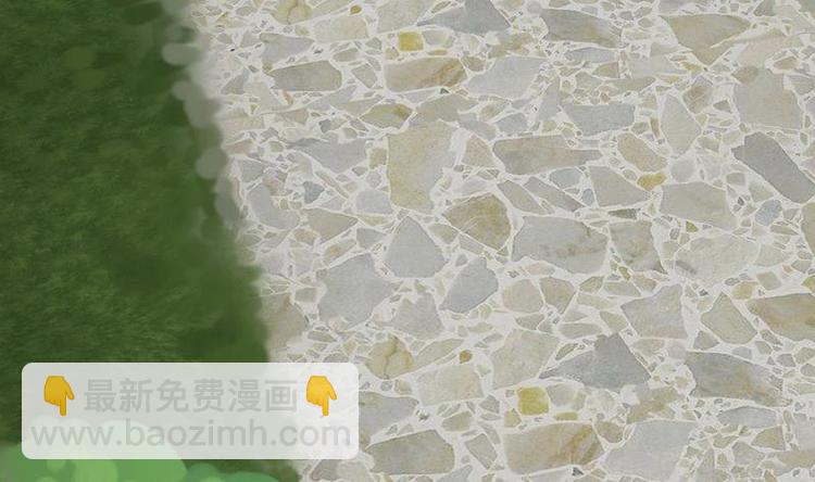 第12话 灰姑娘的阴谋-第12话