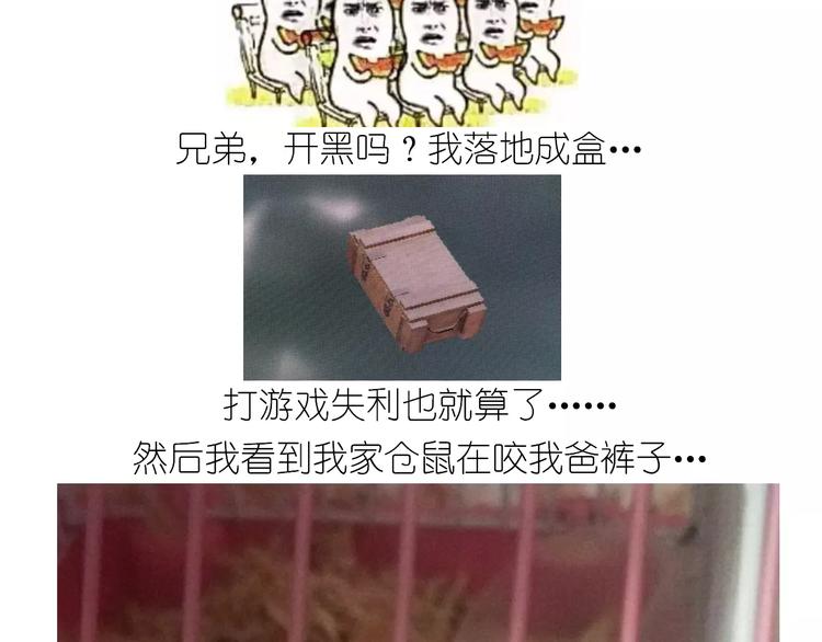 仙女的蛋包面(1/2)-第116话