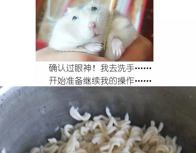 仙女的蛋包面(1/2)-第116话