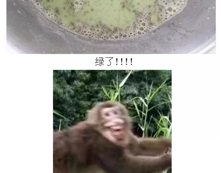 抹布蛋糕-第120话