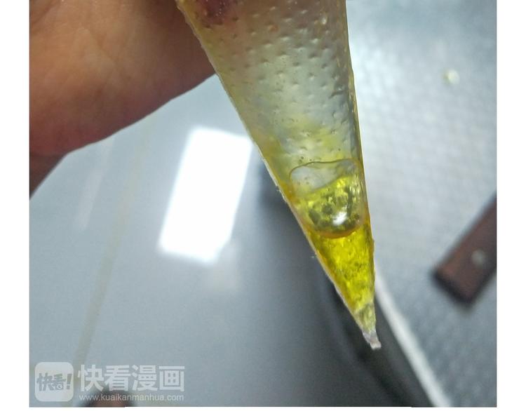 仙女星冰粽-第124话