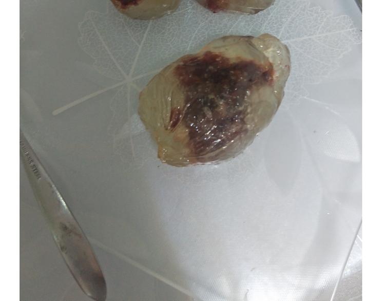 仙女星冰粽-第124话