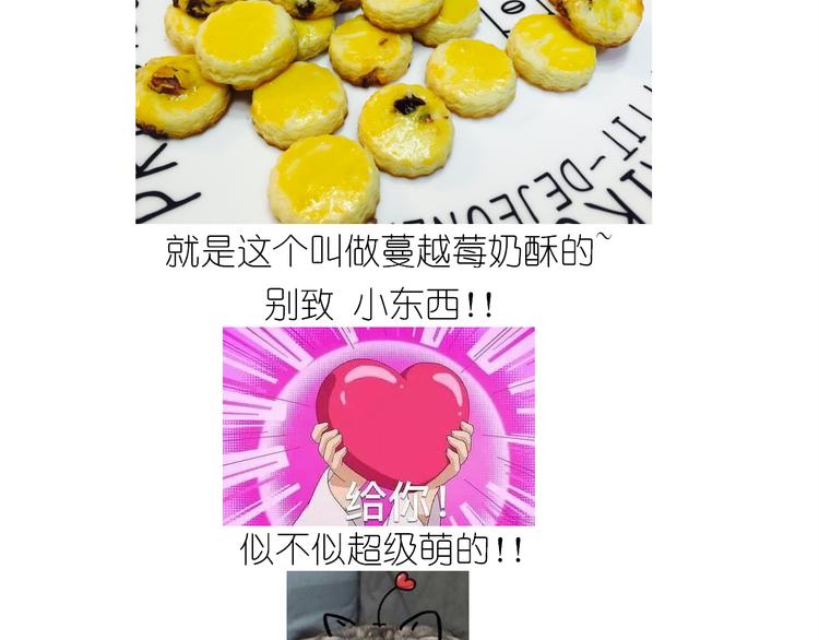 仙女蔓越莓奶酥-第148话