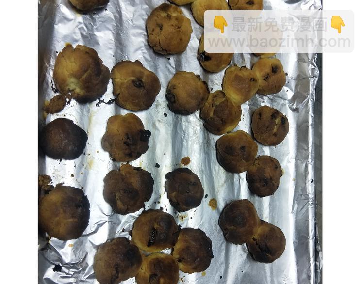 仙女蔓越莓奶酥-第148话