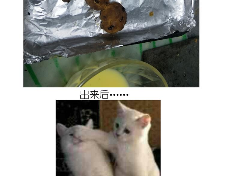 仙女蔓越莓奶酥-第148话