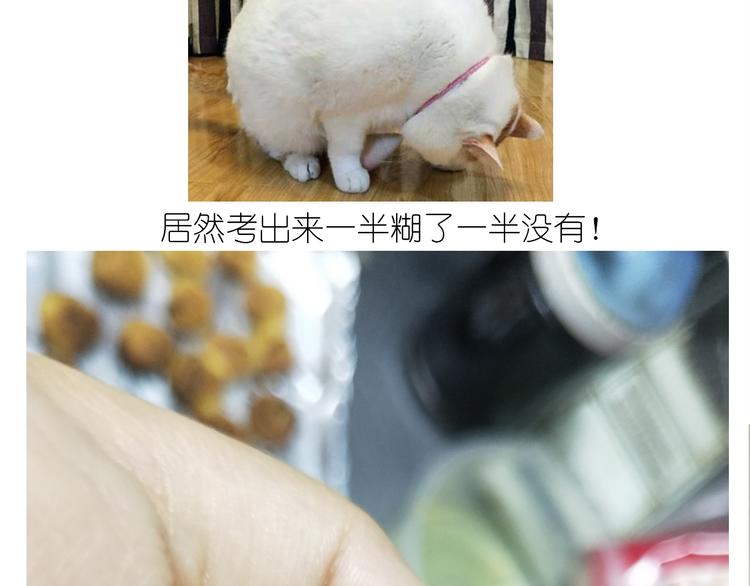 仙女蔓越莓奶酥-第148话