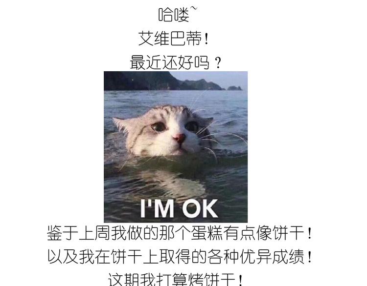 仙女圣诞饼干-第150话