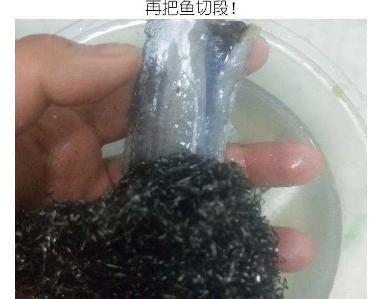 仙女新年菜系红烧带鱼-第154话