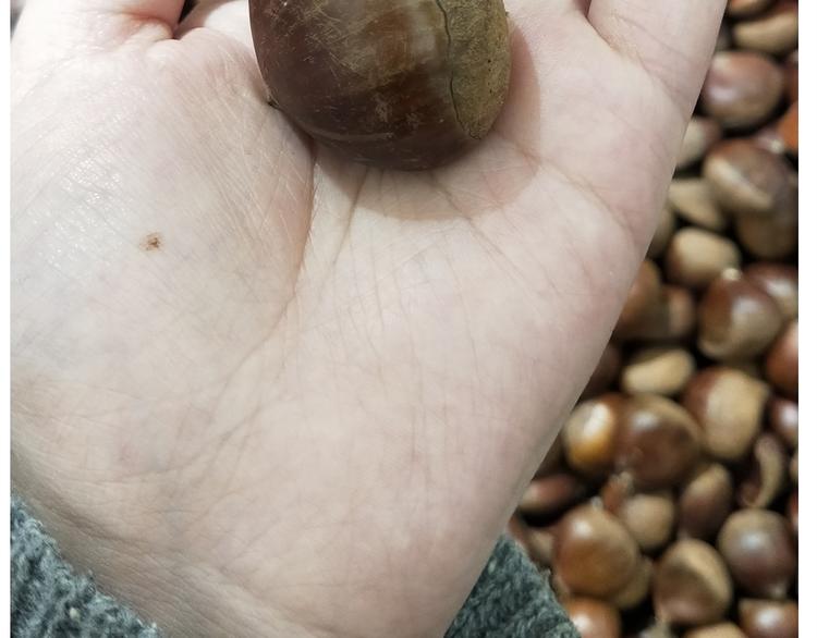 仙女新年不方便泡面(1/2)-第158话