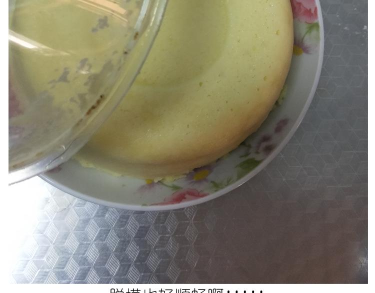 仙女酸奶巅峰蛋糕(1/2)-第160话