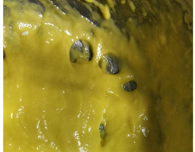 仙女的妇女节蛋糕(1/2)-第162话