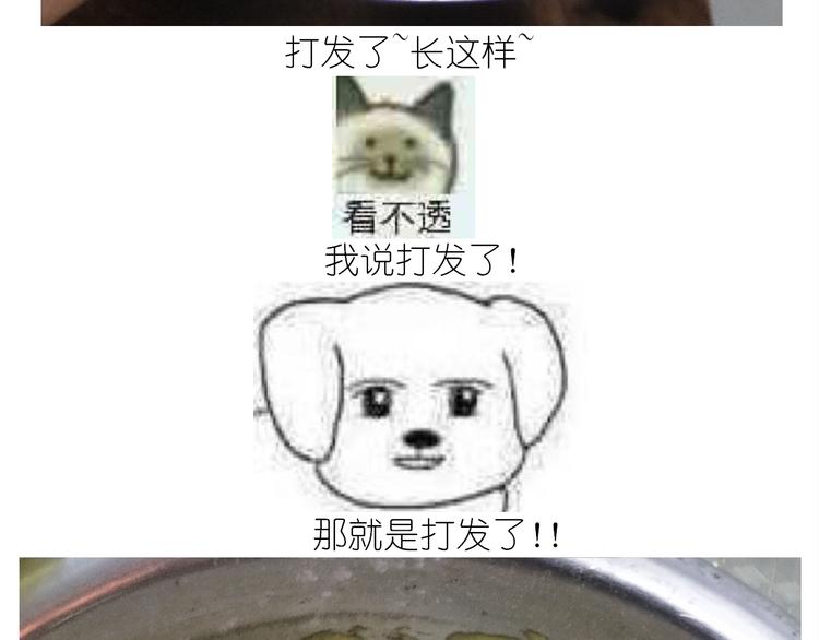 仙女的妇女节蛋糕(1/2)-第162话