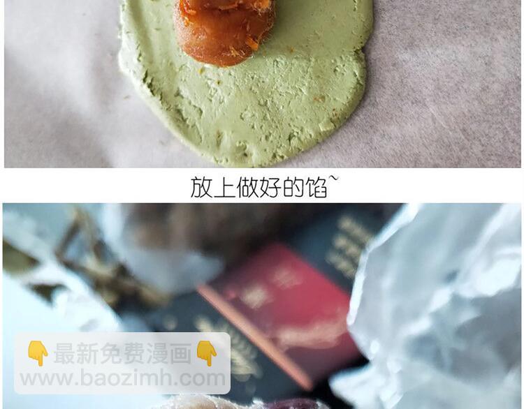 仙女的青团(1/2)-第168话