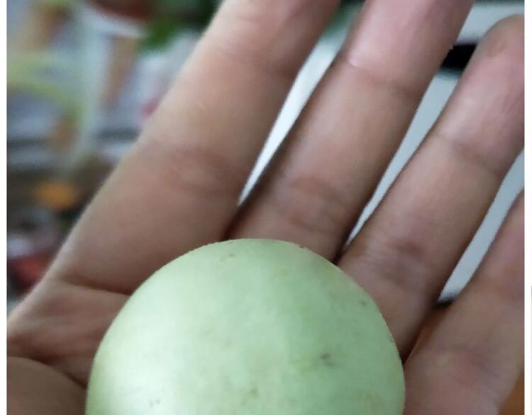 仙女的青团(1/2)-第168话