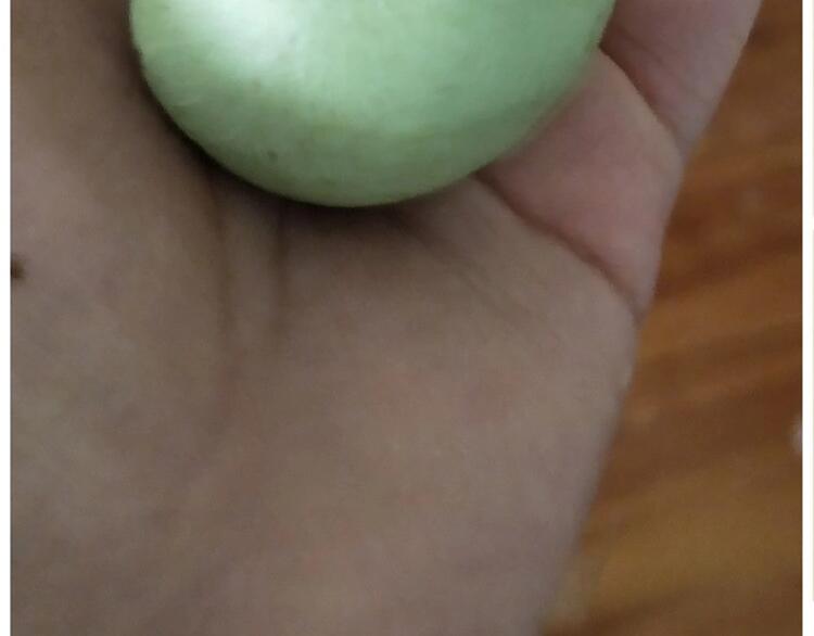 仙女的青团(1/2)-第168话