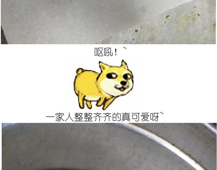 仙女的青团(1/2)-第168话