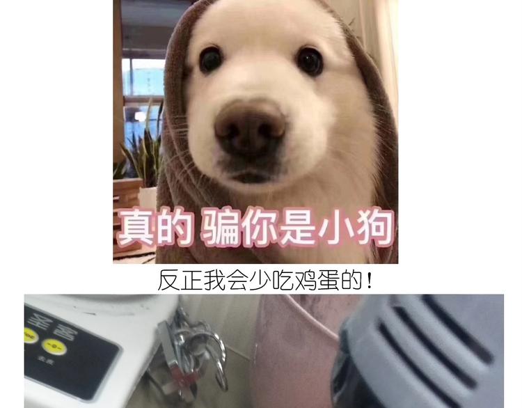 仙女的蜂窝煤(1/2)-第170话