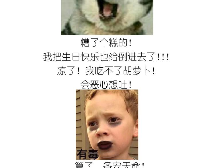 仙女的生日餐(1/2)-第186话