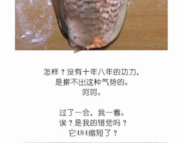 值得拥有56个赞的中国好面包！-第20话