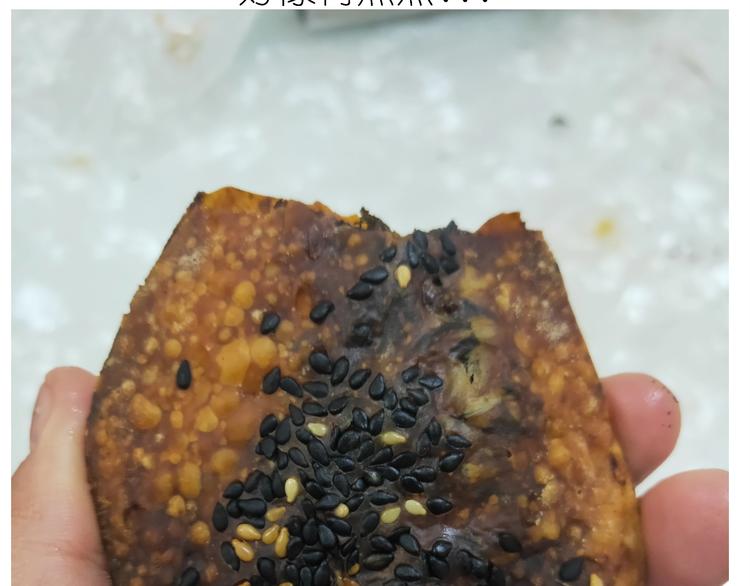 仙女的烧饼(1/2)-第192话