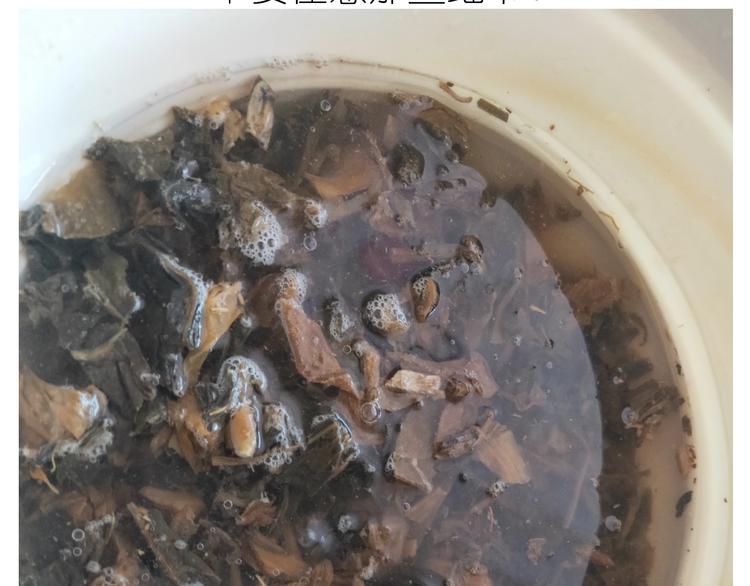 仙女的烧饼(1/2)-第192话