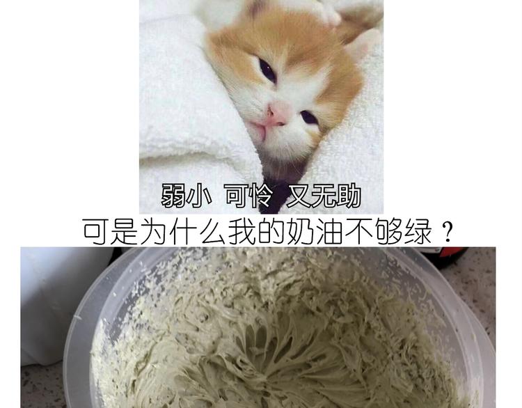 仙女的抹茶蛋糕(1/2)-第194话