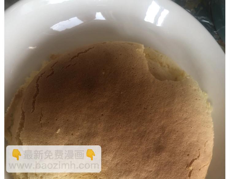 仙女的抹茶蛋糕(1/2)-第194话