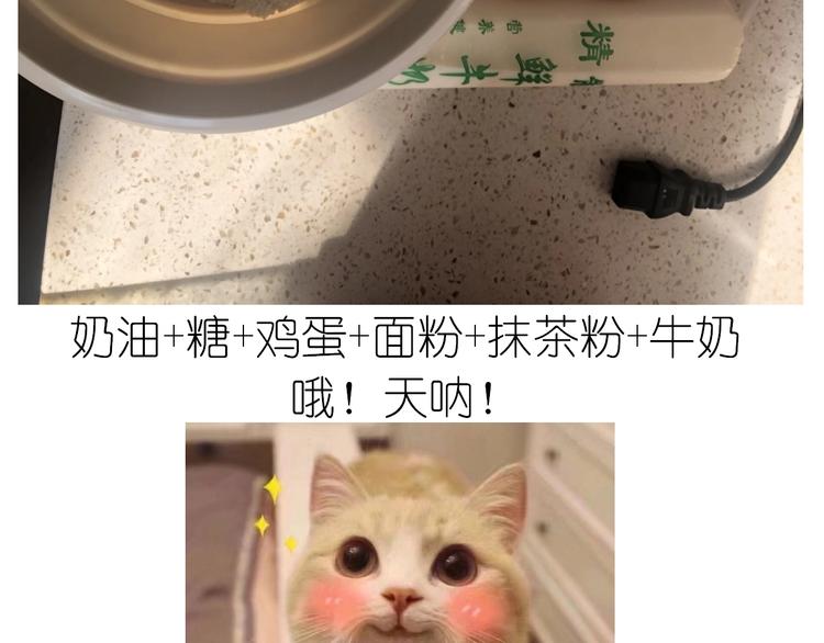 仙女的抹茶蛋糕(1/2)-第194话